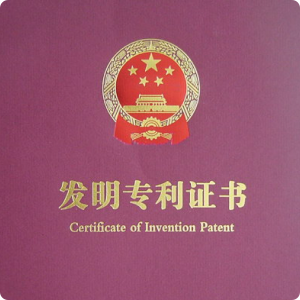 高耐久性蔬菜清洗切割装置 湖南味味美生态农业发展股份有限公司