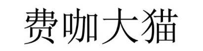 费咖大猫