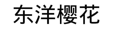 东洋樱花
