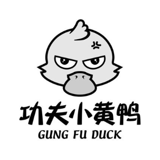 功夫小黄鸭 GUNG FU DUCK