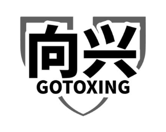 向兴 GOTOXING