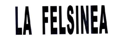 LA FELSINEA