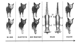 基于莫斯-斯莫尔复形的自动特征对应方法