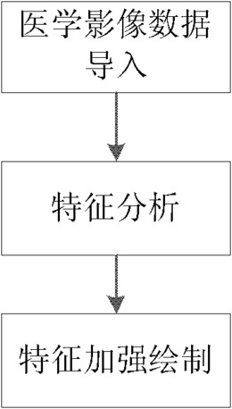 一种面向医学体数据的局部特征加强体绘制方法