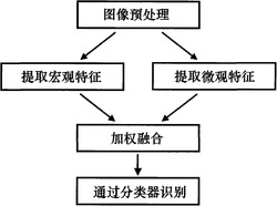 基于局部宏观特征和微观特征结合的手背静脉身份识别方法