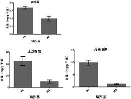 促进藏丹参毛状根中酚酸类成分积累的培养基