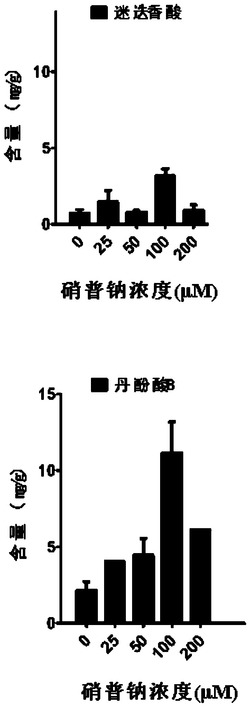 能够促进丹参毛状根中丹酚酸积累的诱导方法