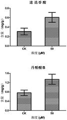 促进丹参毛状根中迷迭香酸和丹酚酸B积累的方法