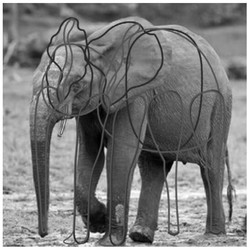 基于单幅图像的三维自由形体生成方法