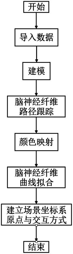 一种脑神经纤维的空间绘制方法及其系统