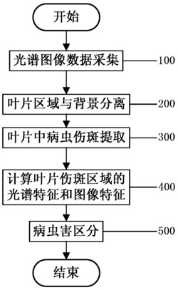 融合光谱和图像信息的作物病虫害识别和区分方法