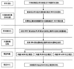 一种稻谷脂肪酸含量无损检测方法及系统