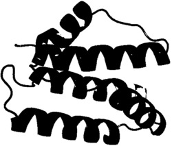 一种基于深度学习的蛋白质结构预测方法
