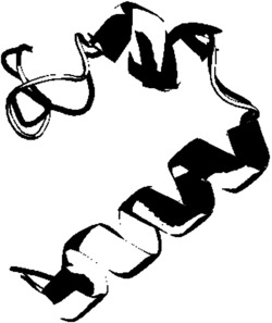 一种局部增强的多模态差分进化蛋白质结构从头预测方法