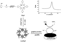 一种CoTPyP金属卟啉配位聚合物材料的应用