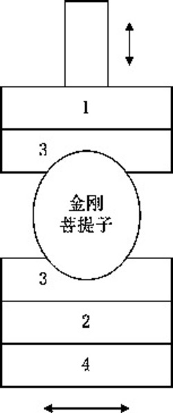 一种金刚菩提子双尖自动查找装置及查找方法