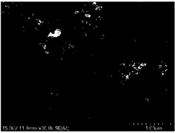 一种室温固相反应制备的纳米铁修饰的铁基氨合成催化剂及其制备方法和应用