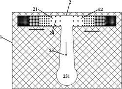 基于SERS检测的微流控芯片、制备方法及其应用