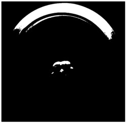 枝顶孢霉菌及其应用