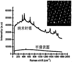 氧化铝纳米针及其与孔复合阵列结构的制备方法及应用