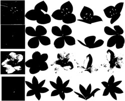 一种基于对称结构的三维花朵建模方法