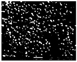一种新型无酶葡萄糖传感器