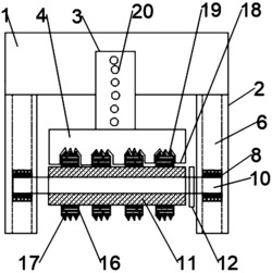 一种播种机的压实装置