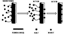 一种羟基磷灰石纳米晶掺杂金属离子的方法