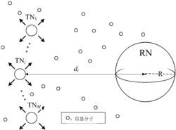 一种基于扩散的多用户分子通信模型的信道容量优化方法