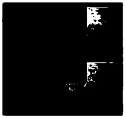 一种快速超像素分割方法