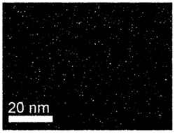 一种水相中高分散的氮掺杂石墨烯量子点的制备方法和应用