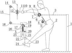 肢体拉伸训练器