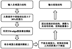 一种基于模板的多域蛋白结构组装方法