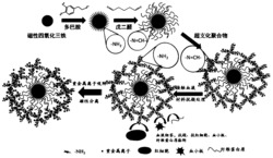 一种磁性超支化聚合物或其衍生物血液重金属离子吸附剂及其制备方法和应用