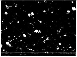 一种具有分离蛋白质作用的复合水凝胶及其制备方法