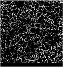具有贯穿孔道结构的压敏聚合物复合泡沫及其制备方法