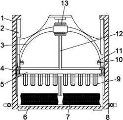 一种连续式的胡萝卜清洗装置