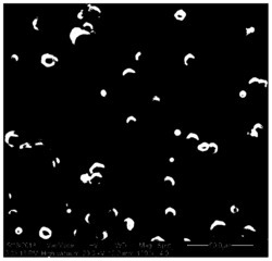 一种高效制备微米级正六边形碳酸钙的方法