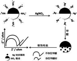 一种检测甲醛的Ag+-SiO2的材料及制备方法、检测方法