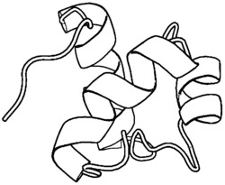 一种基于锦标赛机制的自适应蛋白质结构预测方法