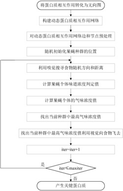 一种采用果蝇优化算法识别关键蛋白质的方法