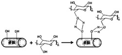 一种多肽增强的纳米纤维素基薄膜材料及其制备方法