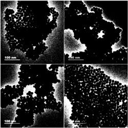 壳层组分、厚度可调控的Pd@Pt-Ni核@壳纳米材料及其制备方法与应用