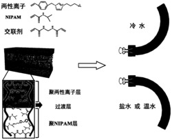 一种具有盐-温度双重响应的双层水凝胶的制备方法、产品及应用