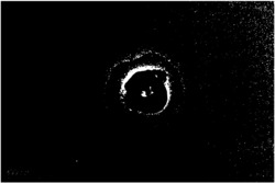 一种高效稳定的生产生物柴油的核壳型CeO2@CaO催化剂及其应用