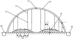 一种低成本且产量高的大棚果蔬种植方法