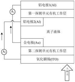 一种双色有机光电探测器
