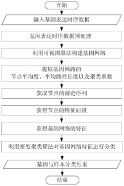 基于可视图算法的基因表达时序数据分类方法