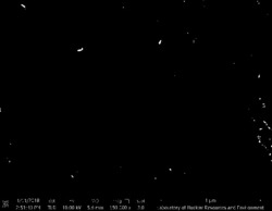 碳纤维增强三聚磷酸钠交联壳聚糖/碳纳米管复合滤膜的制备方法