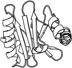 一种基于局部扰动的群体蛋白质构象空间优化方法